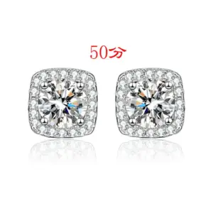 Luxury Square Bag Ear Studs 50 Points