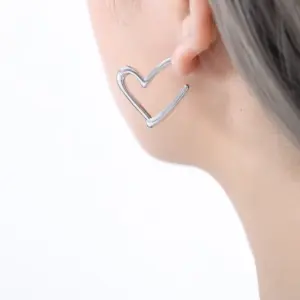 F895-F822-Steel Earrings