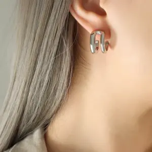 F660-Steel Earrings