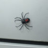 Wholesale Cross-Border New Product Spider Magnetic Fridge Sticker Black Widow Spider Magnet Refrigerator Magnet