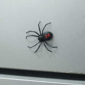 Wholesale Cross-Border New Product Spider Magnetic Fridge Sticker Black Widow Spider Magnet Refrigerator Magnet