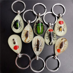 oly-422f261fe24ae16a6f664190d972e51c Wholesale Real insect specimen resin keychain