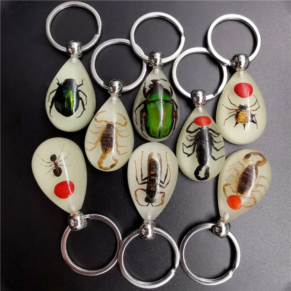 Wholesale Real insect specimen resin keychain