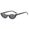 Wholesale Cross-Border New Cat-Eye Sunglasses European and American Fashion Influencer Picks Ins Glasses Simple Avant-Garde Sunglasses Mixed