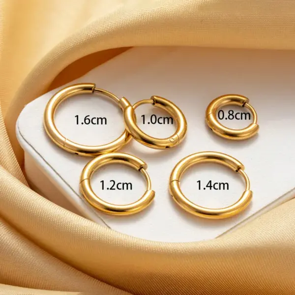 316 Stainless Steel Round IG Style French Style Simple Style Earrings For Unisex