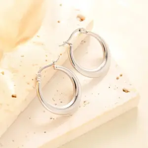 Eh026 Earrings / Steel Color