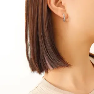 F581-Steel Earrings