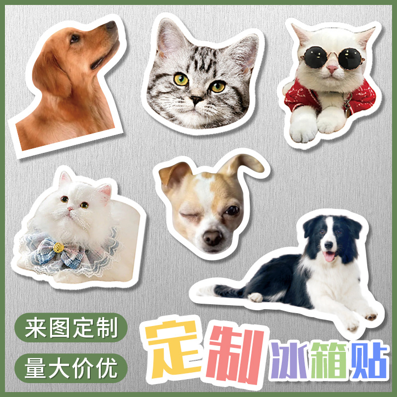 Wholesale Cartoon soft magnetic refrigerator stickers acrylic magnetic refrigerator stickers wholesale creative cute pet magnetic stickers special-sha