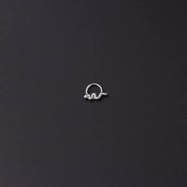 316L Stainless Steel No Inlaid Ear Cartilage Rings & Studs Animal Waterproof Non Tarnish Surgical Steel