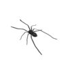 Wholesale Cross-border Amazon New 2025 Spider Fridge Magnets Home Spider Magnet Refrigerator