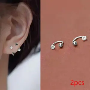 2 Steel 316 Stainless Steel Earrings