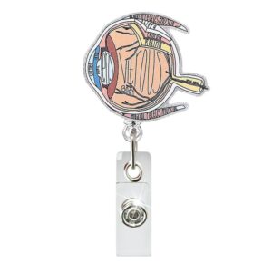 Eye organ
