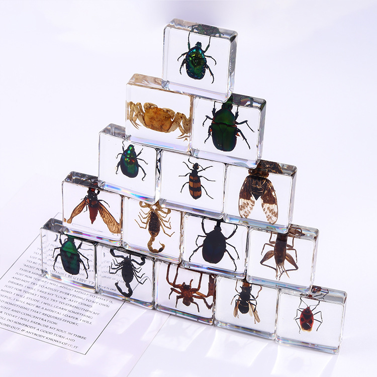 Wholesale Square resin insect and animal specimen amber craft ornament