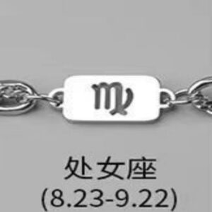 Virgo necklace bracelet combination