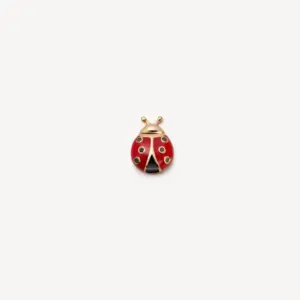 Little Ladybug Accessories