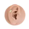 Wholesale 1 Piece Ear Cartilage Rings & Studs Simple Style Commute Geometric Pure Titanium Alloy Zircon Vacuum Plating 14K Gold Plated White Lip