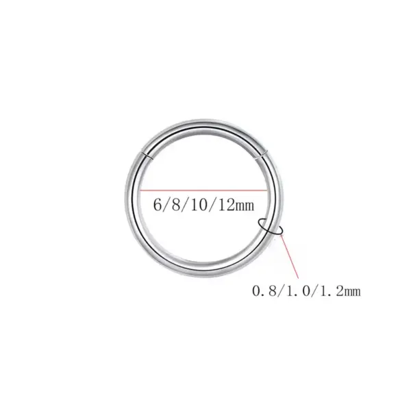 1 Piece Titanium Alloy Basic Nose Rings & Studs Solid Color Ear Cartilage Rings & Studs Nose Pin