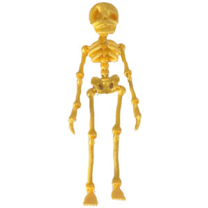 Skeleton man magnetic style-silk bright gold