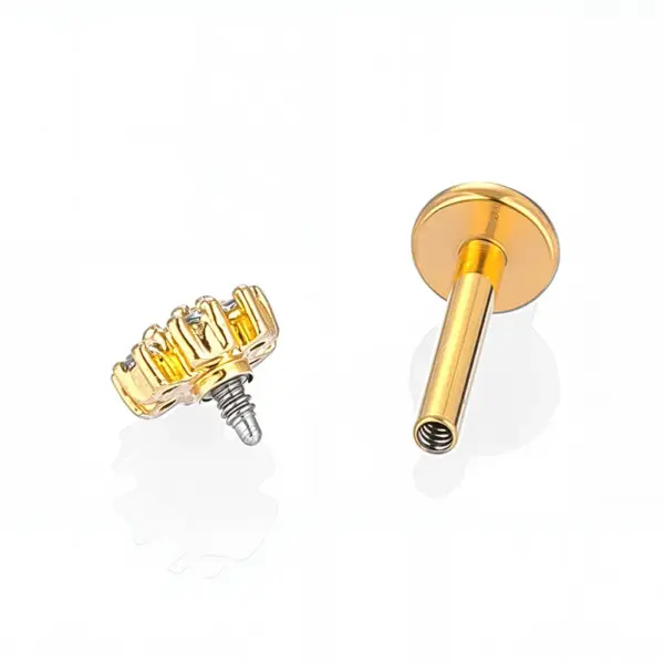 Wholesale 1 Piece Lip Rings Casual Simple Style Classic Style Crown Flower Spider 316L Stainless Steel Waterproof Non Tarnish Surgical Steel Zircon Ion Plating (IP) 18K Gold Plated Lip Rings Ear Cartilage Rings & Studs