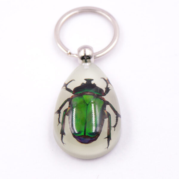 oly-4a72c72adad644b96be97a93baecf20e Wholesale Large Amber Glow-in-the-Dark Insect Keychain