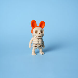 Ballless Rabbit Ear Skull