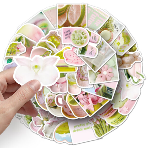oly-4b6e423553a3963244d18858df89febe Wholesale 51pcs pink and green graffiti stickers fresh decorative card stickers