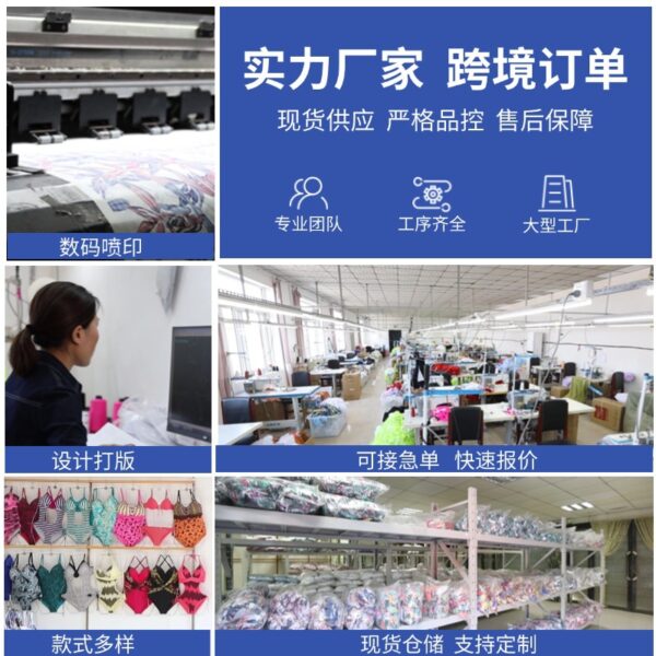 Wholesale 2025 new Amazon foreign trade cross-border sexy European and American plus size one-piece swimsuit women's hot spring high-end hot spring