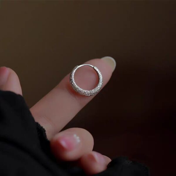 Wholesale Sparkling Earrings Women 2024 New Explosions Ear Buckle Niche Design Ear Ring Frosted Earrings