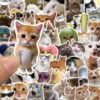 Wholesale 50PCS/PACK celebrity funny cat stickers
