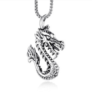 Shenglong + stainless steel chain