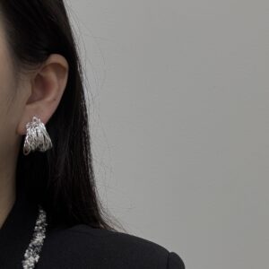 Er3241 large version silver