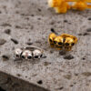 Wholesale Three skull ghost claw Halloween ear cuffs
