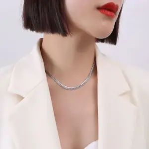 P053-Steel Wide Necklace 405cm