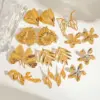 304 Stainless Steel Leaf Leaves Flower PVD Coated Real Gold Plated Modern Style Classic Style Commute Waterproof Non Tarnish Ear Studs