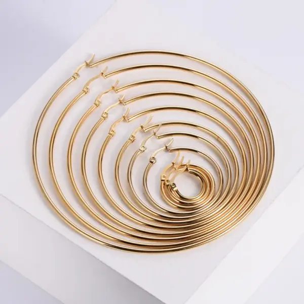 Wholesale 1 Pair Simple Style Circle Plating 304 Stainless Steel No Inlaid 18K Gold Plated Stainless Steel Earrings