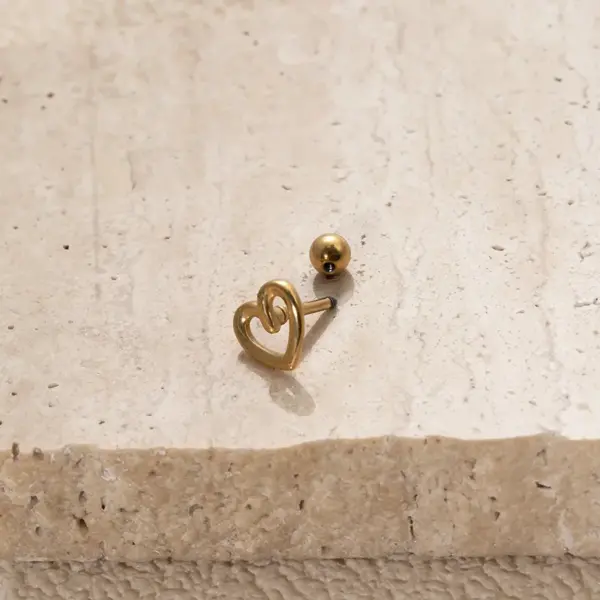 1 Piece 316L Stainless Steel Ear Cartilage Rings & Studs Four Leaf Clover Moon Heart Shape Waterproof Non Tarnish Surgical Steel