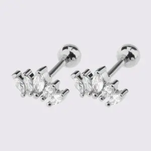 White Steel Five-Leaf Crown Zircon Ear Studs