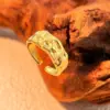 Wholesale PVD Coated Real Gold Plated 18K Gold Wide Surface Solid Color 304 Stainless Steel Casual Retro Classic Style Waterproof Non Tarnish Open Rings
