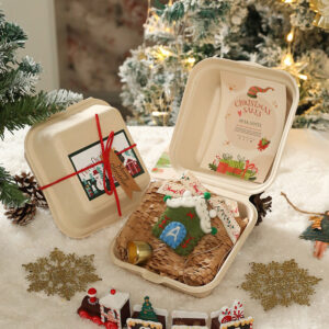 Style ten (boxed) / Christmas pendant