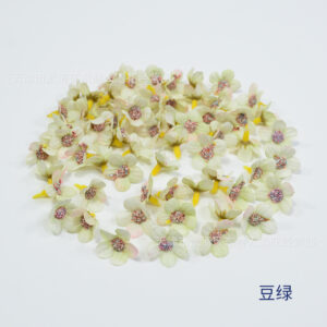 Bean Green / About 2cm in diameter