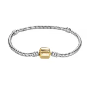 Gold Buckle Silver Chain / 18cm