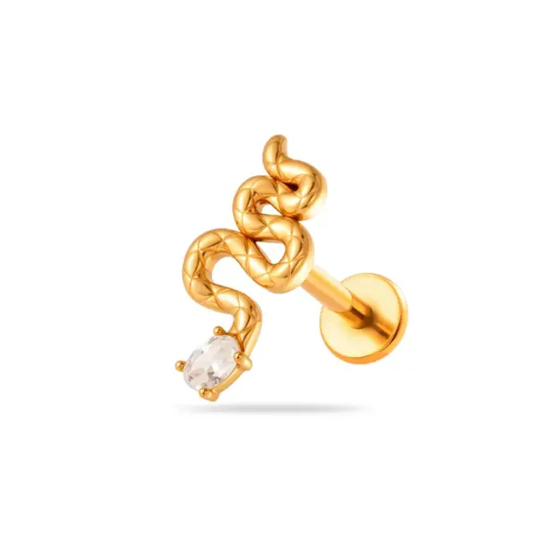 Wholesale Minimalist 316 Stainless Steel Internal Thread Micro Pave Zircon Fashion Spider Heart Lip Stud Ear Bone Stud Soft Cartilage Piercing Ear Jewelry