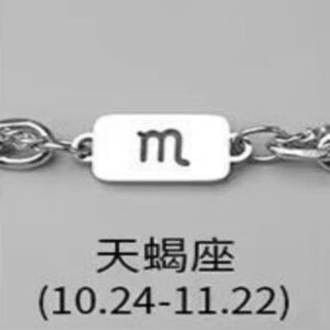 Scorpio necklace bracelet combination