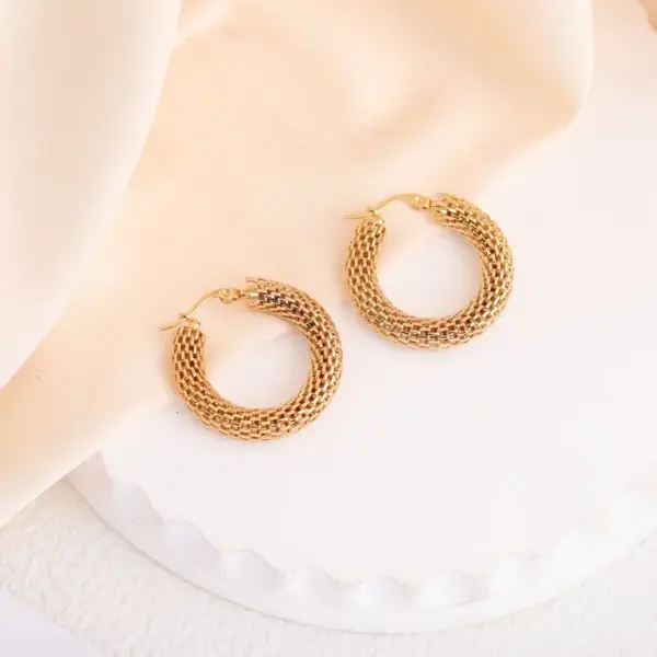 Wholesale 1 Pair Elegant French Style Circle 304 Stainless Steel Earrings