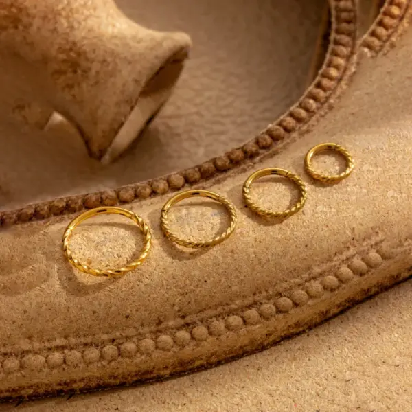 316 Stainless Steel Round Simple Style Earrings For Women's