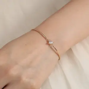 NB631-Heart-Shaped Zircon