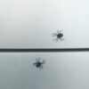 Wholesale Cross-Border New Product Spider Magnetic Fridge Sticker Black Widow Spider Magnet Refrigerator Magnet