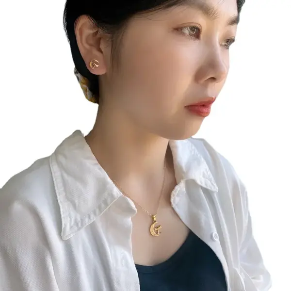 Wholesale Simple Style Heart Shape Owl Butterfly Titanium Steel Women's Earrings Necklace 1 Set