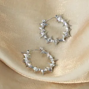 F1186-Steel Earrings