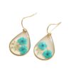 oly-55961febe24572326bbddb5b8a6077f7 Wholesale New Transparent Camellia Dried Flower Creative Water Drop Flower Earrings Design Earrings